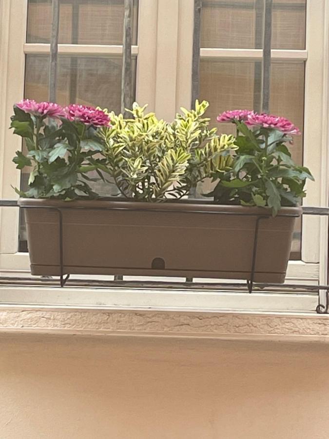 Cuor Di Mantova B&B Екстериор снимка